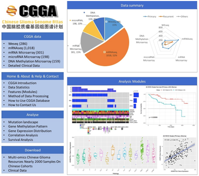 CGGA數據庫發布2000例腦膠質瘤組學數據 中國數據庫面向全球研究者免費開放